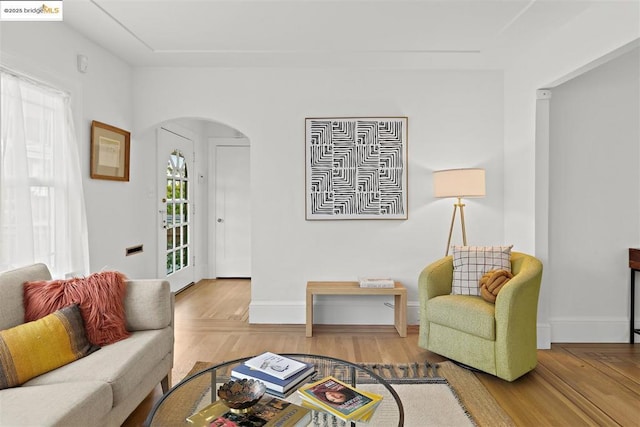 living room with light hardwood / wood-style flooring and a wealth of natural light