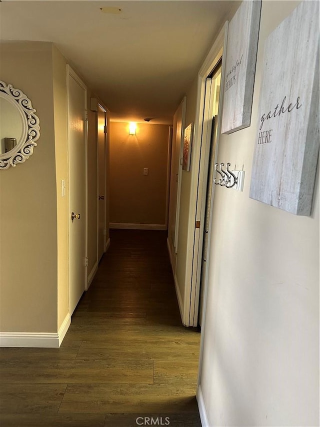 hallway featuring dark hardwood / wood-style flooring