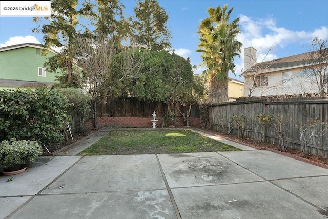 view of yard featuring a patio