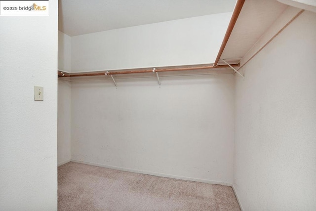 walk in closet with carpet