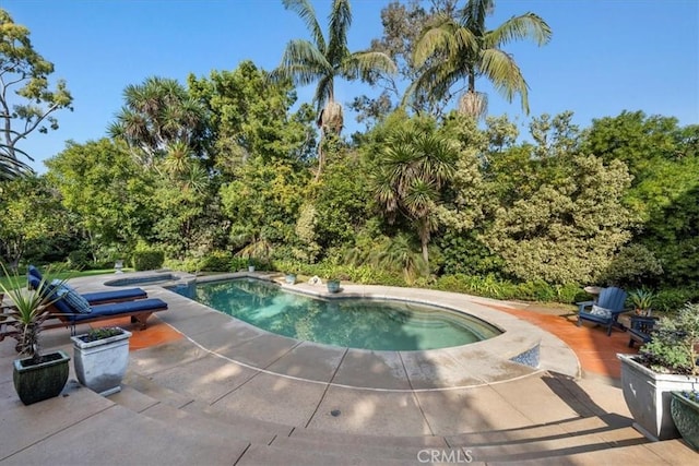 view of swimming pool featuring a patio