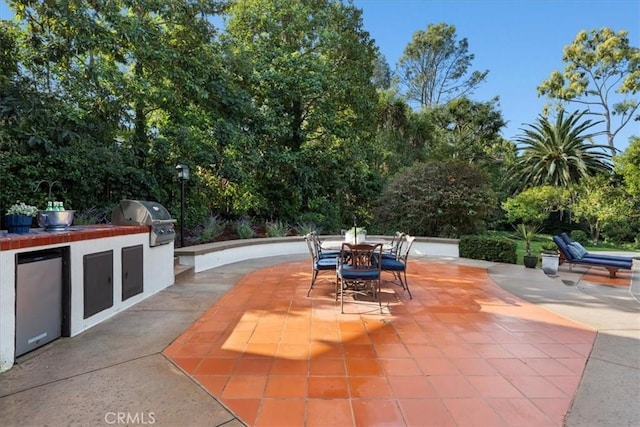 view of patio / terrace featuring exterior kitchen and a grill