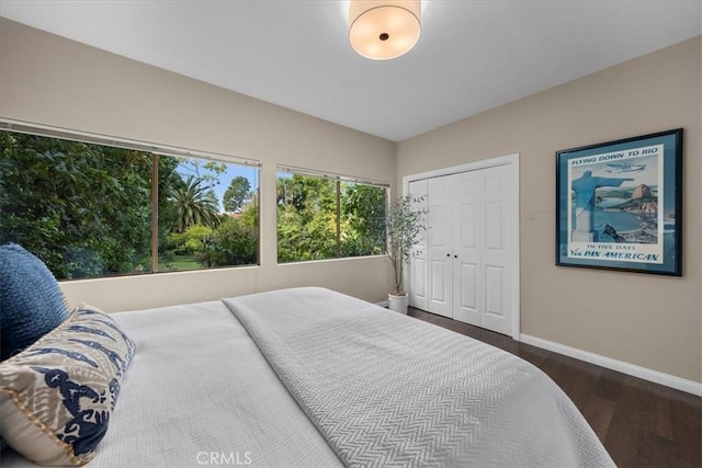 bedroom with dark hardwood / wood-style flooring and a closet