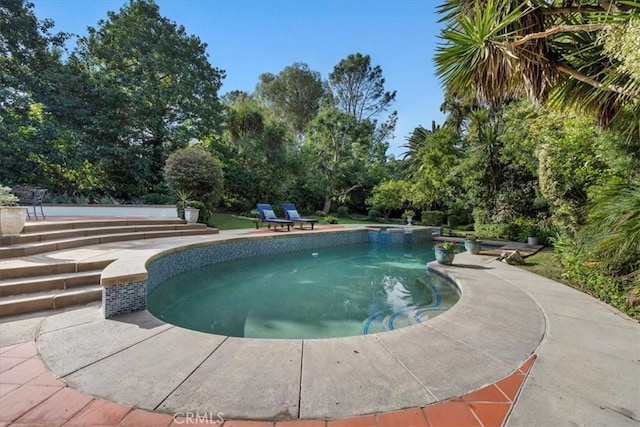 view of pool with a patio area