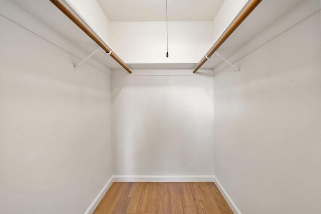 walk in closet featuring hardwood / wood-style flooring