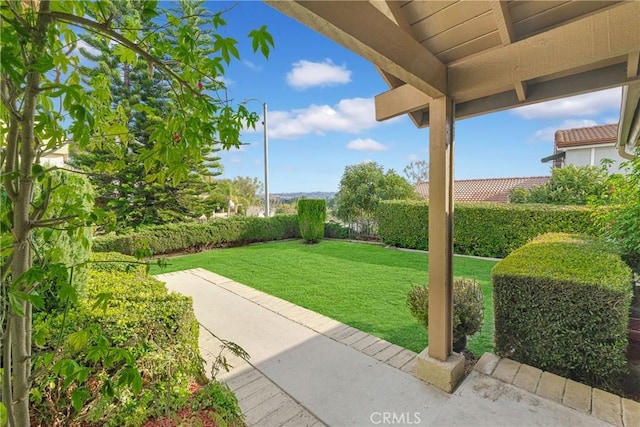 view of yard featuring a patio area