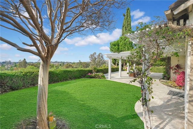 view of yard with a pergola and a patio