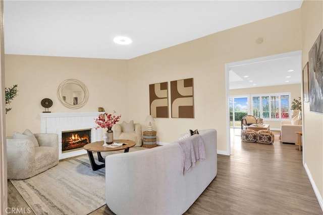 living room featuring hardwood / wood-style flooring and a fireplace