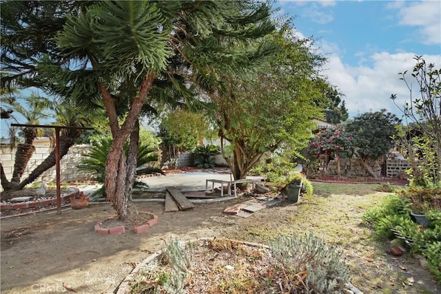 view of yard featuring a patio area