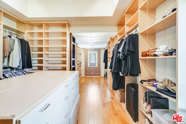 walk in closet with light wood-type flooring