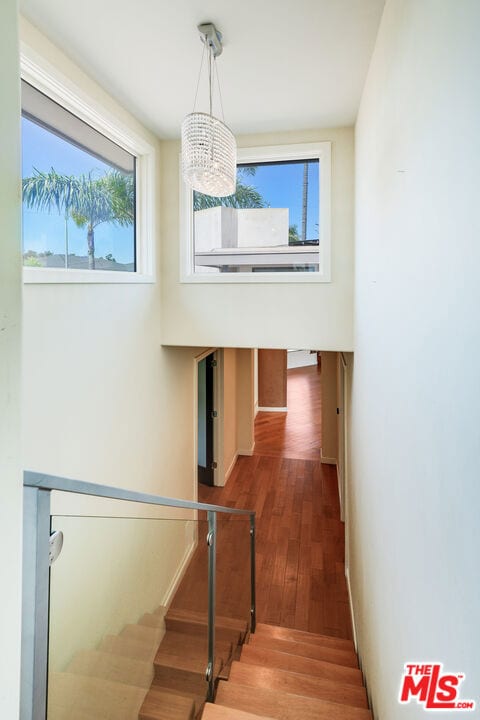 stairway with hardwood / wood-style flooring and an inviting chandelier