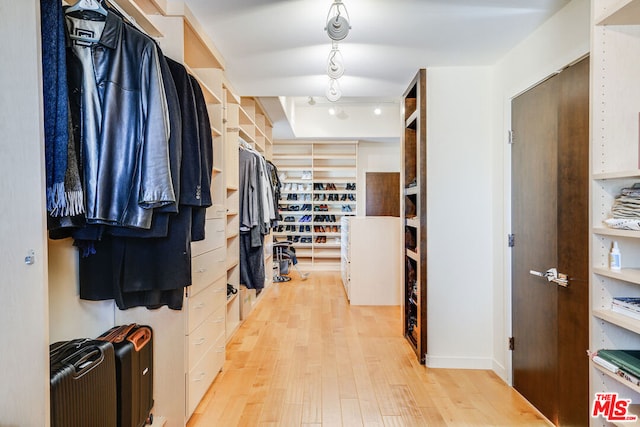 walk in closet featuring light hardwood / wood-style floors