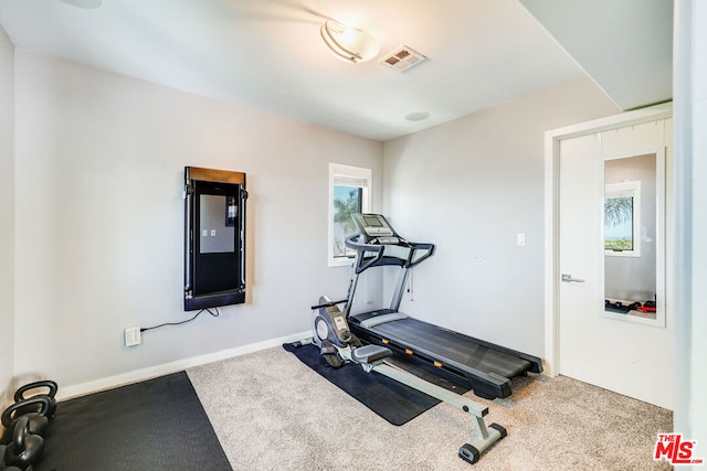 workout room with carpet floors