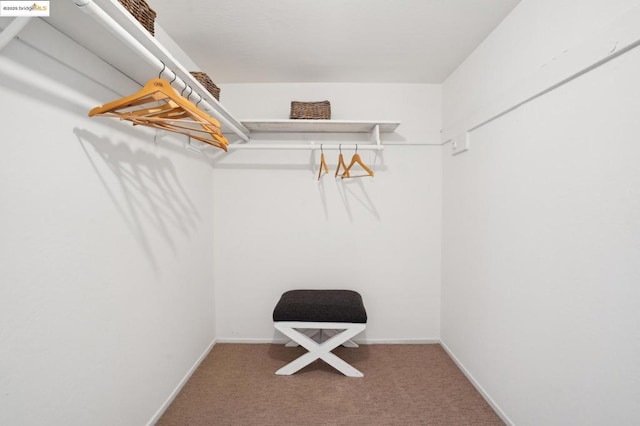 spacious closet with carpet floors