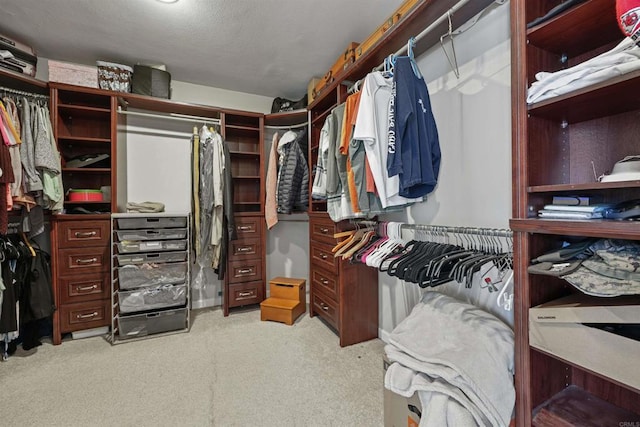 walk in closet featuring light colored carpet