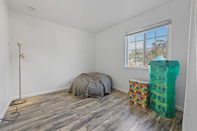 interior space with wood-type flooring