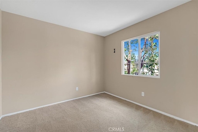 empty room featuring carpet flooring