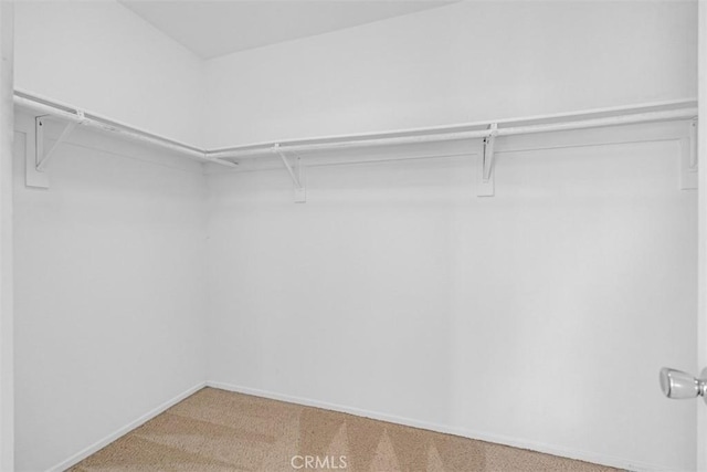 walk in closet with carpet