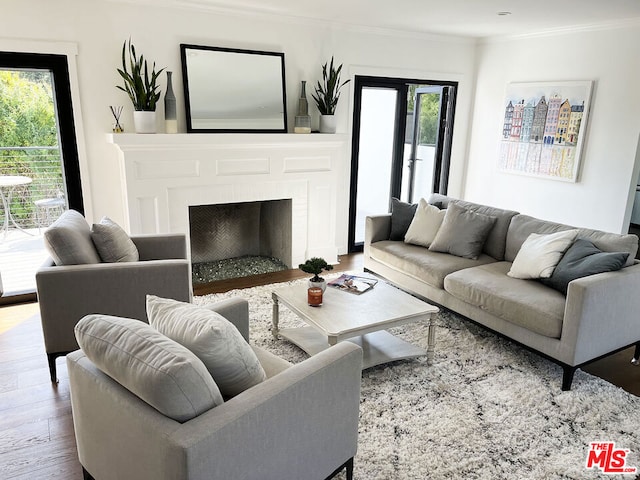 living room with crown molding, a fireplace, and wood-type flooring