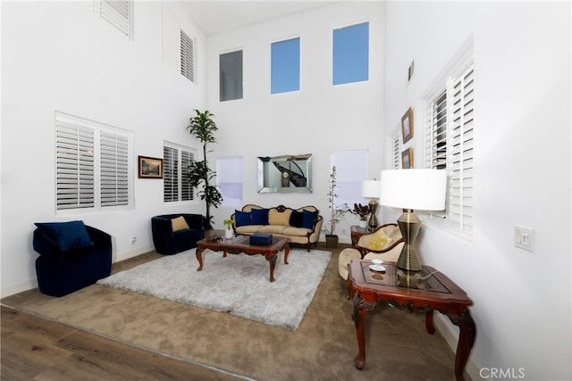 living area featuring wood finished floors, a towering ceiling, and baseboards