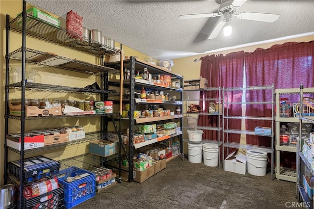 storage featuring ceiling fan