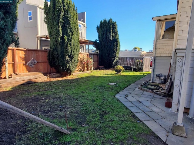 view of yard featuring a patio