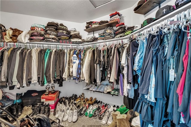 view of spacious closet