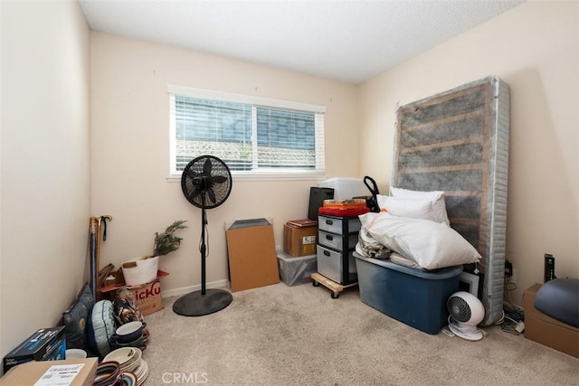 bedroom with carpet