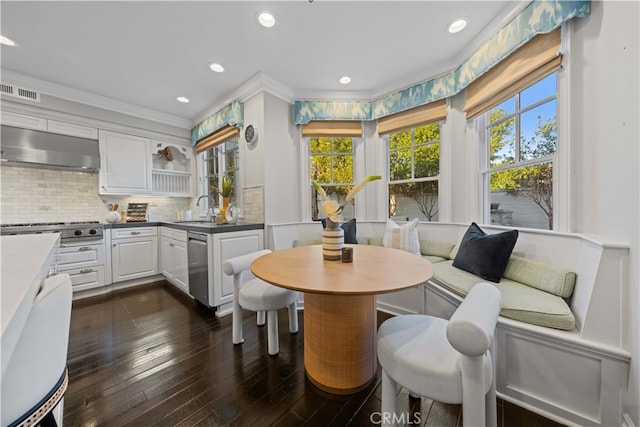 kitchen with ventilation hood, white cabinetry, sink, backsplash, and stainless steel appliances