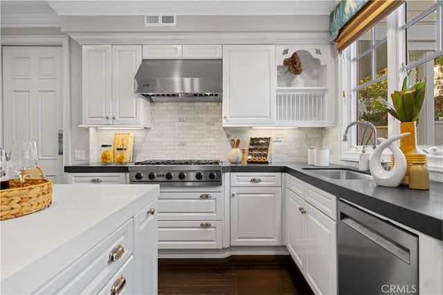 kitchen with sink, stainless steel appliances, ventilation hood, white cabinets, and decorative backsplash