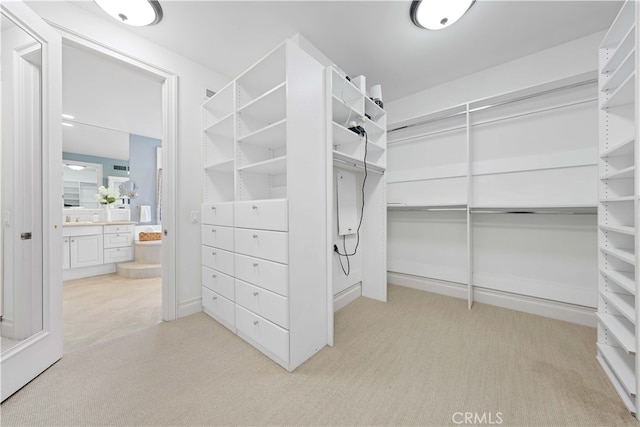 spacious closet featuring sink and light colored carpet