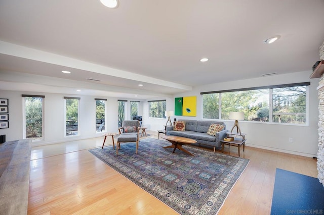 living room featuring a wealth of natural light and light wood-type flooring