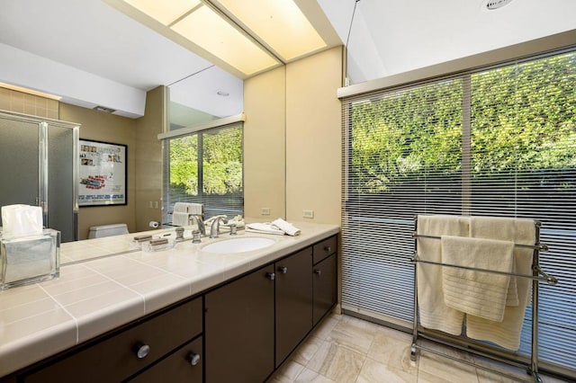 bathroom with vanity, an enclosed shower, and toilet