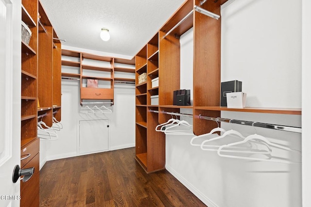 spacious closet featuring dark wood-type flooring