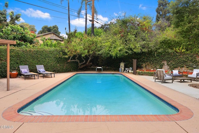 view of pool with a patio