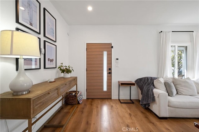 entryway featuring wood-type flooring