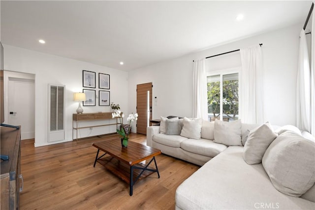 living room with wood-type flooring