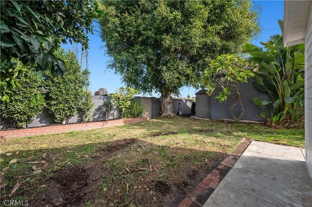 view of yard with a patio and a storage unit