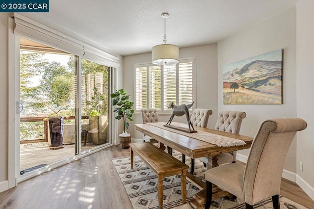 dining area featuring light hardwood / wood-style floors and a textured ceiling