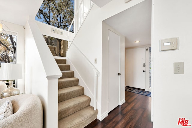 stairway with wood-type flooring