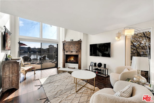 living room with hardwood / wood-style floors and a fireplace