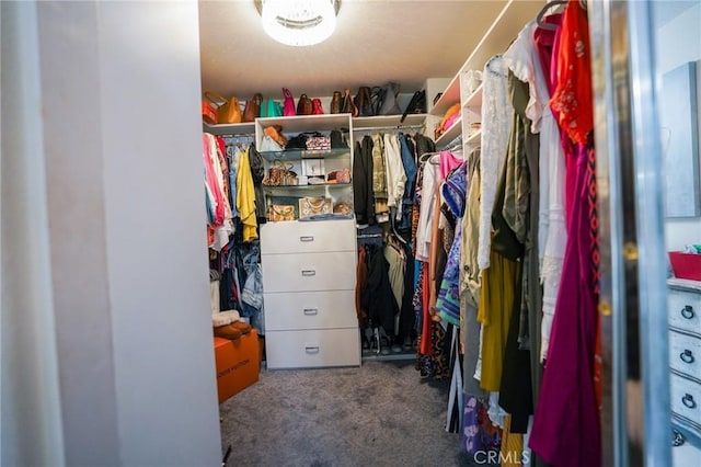 walk in closet with carpet