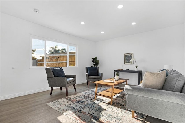 living room featuring hardwood / wood-style floors