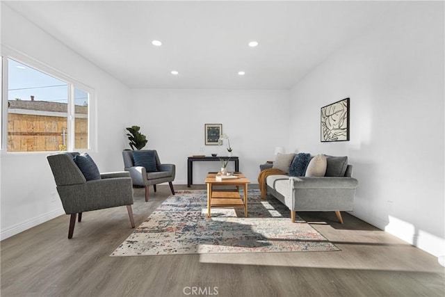 living room with hardwood / wood-style flooring