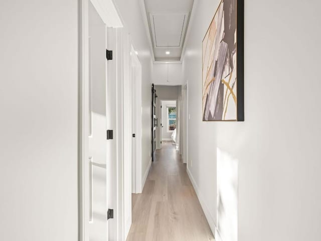 hall with a tray ceiling and light hardwood / wood-style flooring