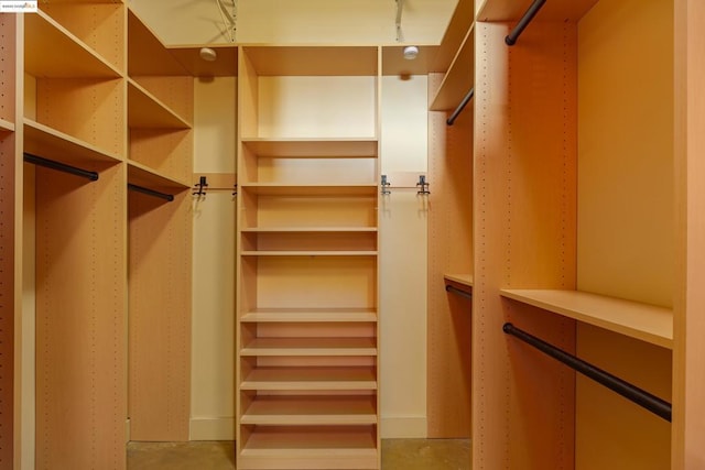 view of walk in closet