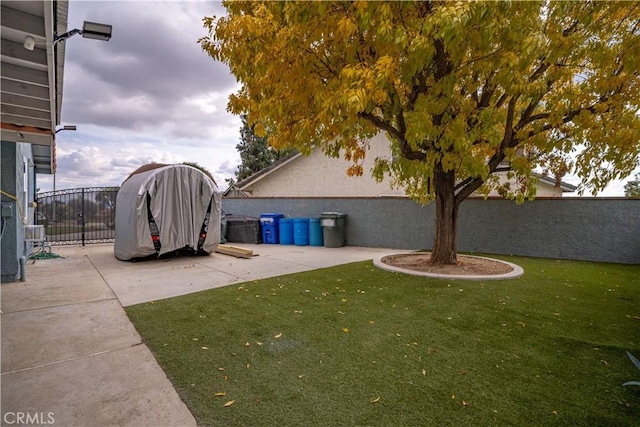 view of yard featuring a patio area