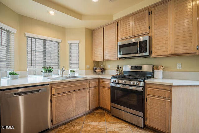 kitchen with stainless steel appliances, a raised ceiling, sink, and light brown cabinets