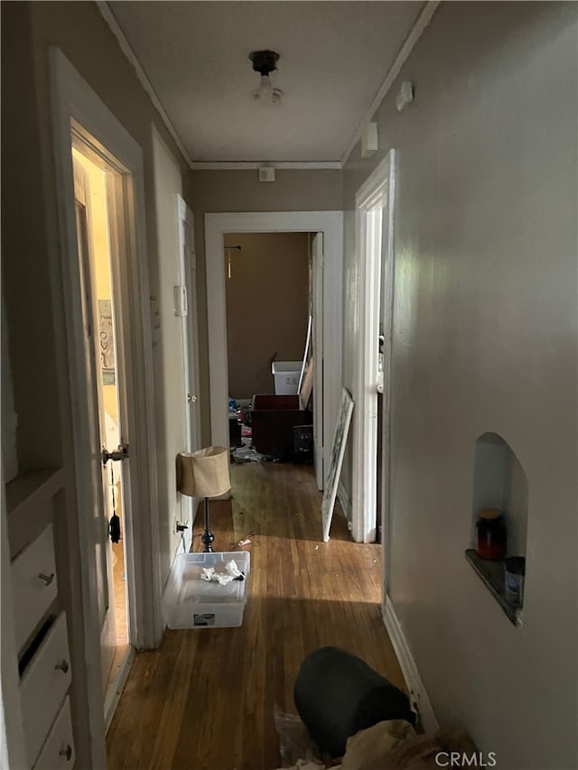 hall with crown molding and dark hardwood / wood-style floors