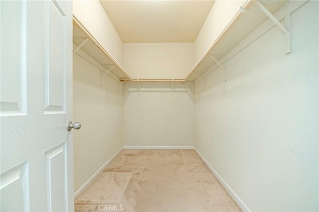 spacious closet featuring light colored carpet